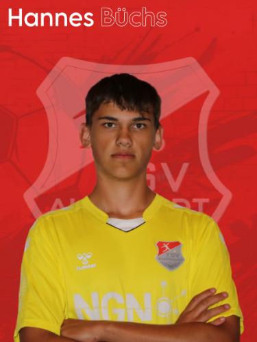 Hannes Büchs