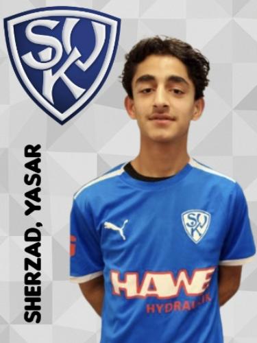 Yasar Sherzad