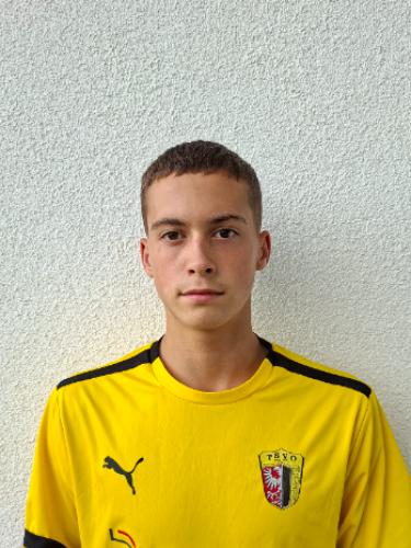 Avatar Bild für Mino Tavares