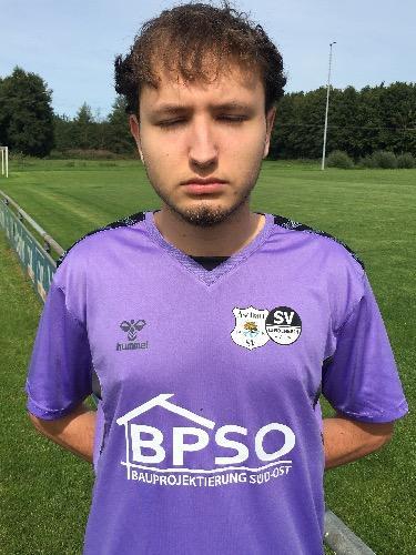 Nikolas Erndt-Brasoveanu