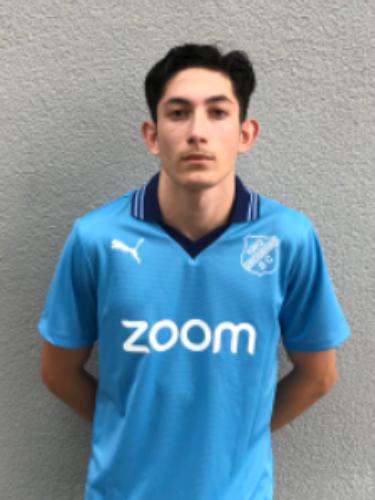 Aleksandar Nedeljkovic