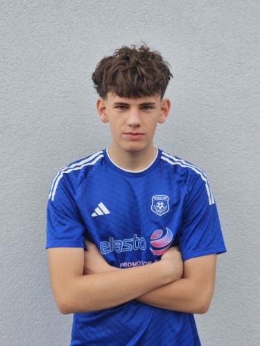 Avatar Bild für Ferdinand Scharrer