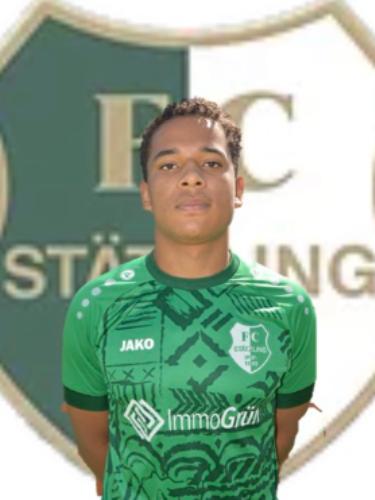 Nikolas da Silva Cardoso