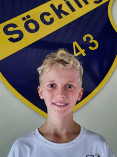 Niklas Weigelt