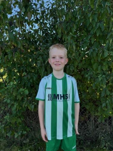 Hannes Kraft