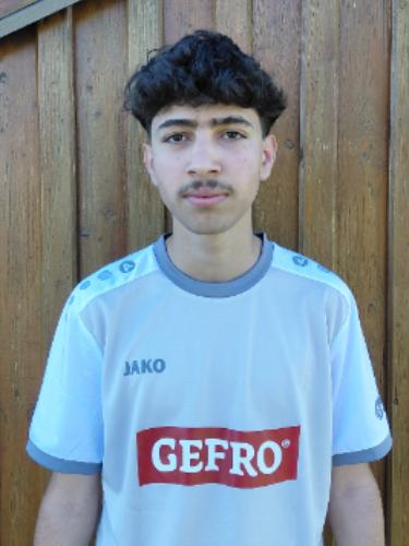 Ahmad Alfarhan Alsaleh