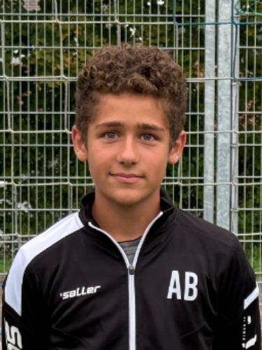 Avatar Bild für Aleksandar Bjelcevic