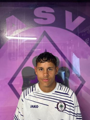 Avatar Bild für Mehdi Pusch