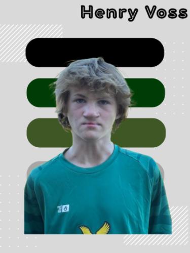 Avatar Bild für Henry Voß