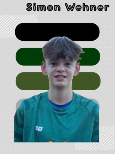Simon Wehner