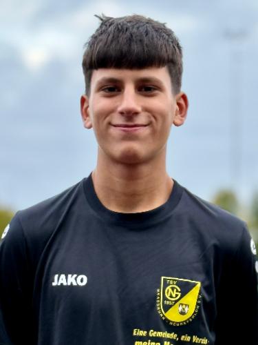 Rafael Alves Lippels