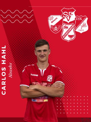 Avatar Bild für Carlos Hahl