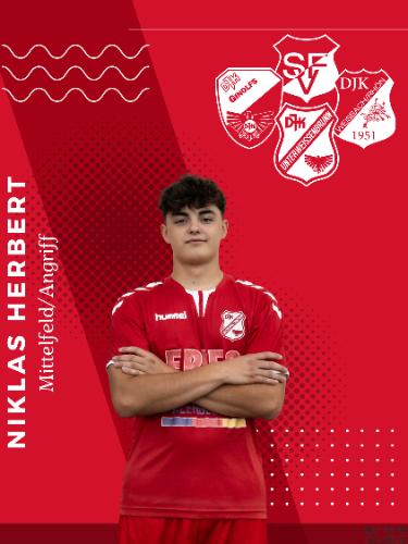 Avatar Bild für Niklas Herbert