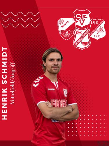 Avatar Bild für Henrik Schmidt