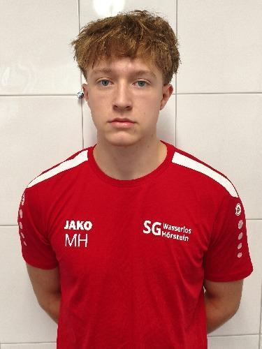 Maximilian Hiernickel