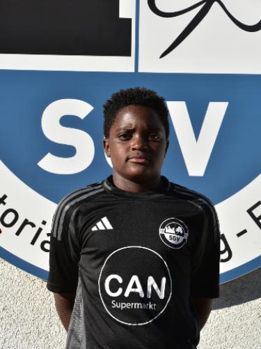 Avatar Bild für David Lumingu