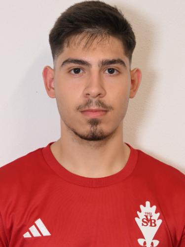 Alexandru Bungeteanu