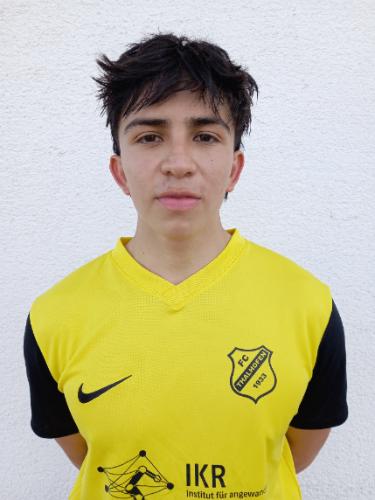 Emilio Cardenas Escandon