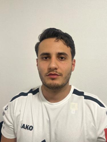 Luca Fazio
