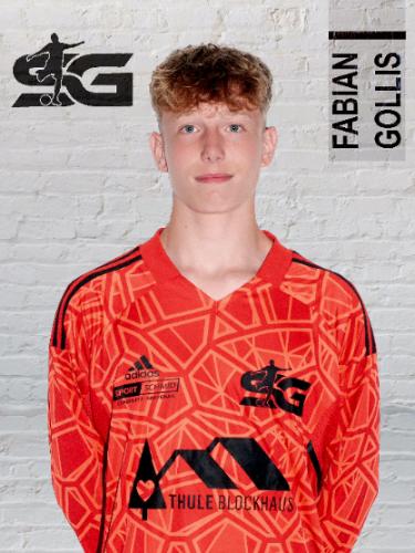 Fabian Gollis