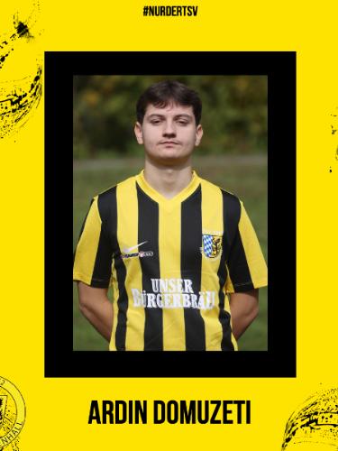 Ardin Domuzeti