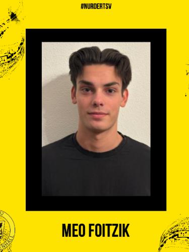 Meo Foitzik