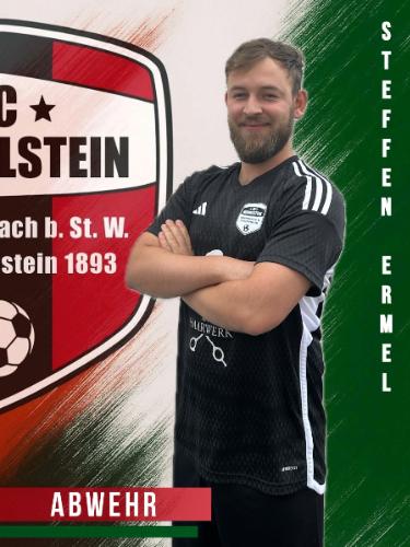 Steffen Ermel
