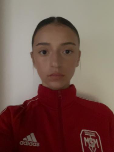 Avatar Bild für Vesa Emini