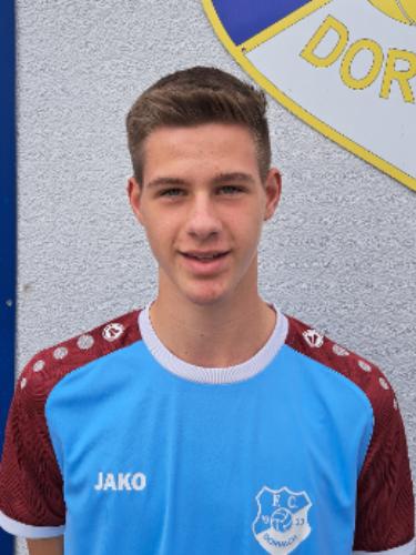 Avatar Bild für Dominik Einhellig