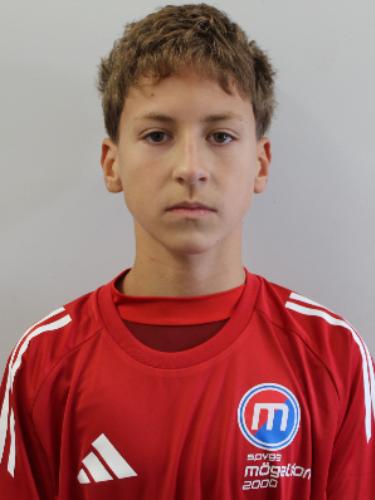 Tomas Henriques