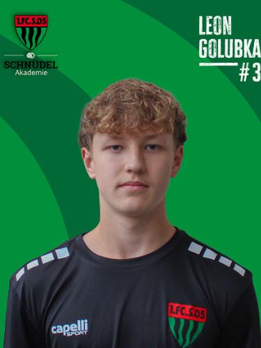 Avatar Bild für Leon Golubka