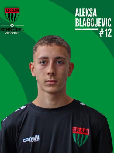 Aleksa Blagosevic