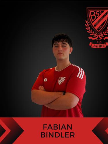 Fabian Bindler