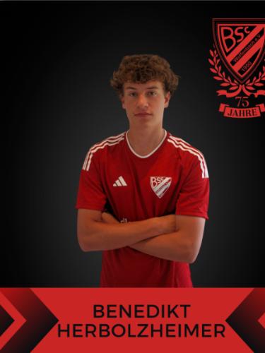 Benedikt Herbolzheimer