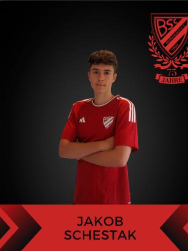 Jakob Schestak