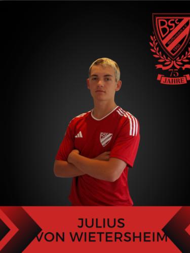 Avatar Bild für Julius von Wietersheim