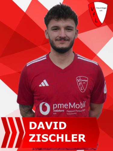 David Zischler