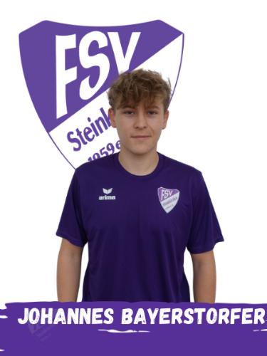 Johannes Bayerstorfer