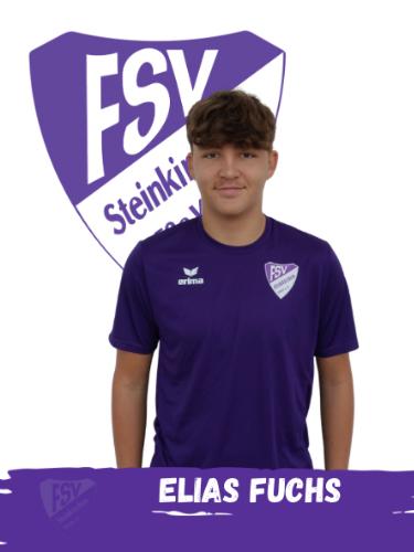 Avatar Bild für Elias Fuchs