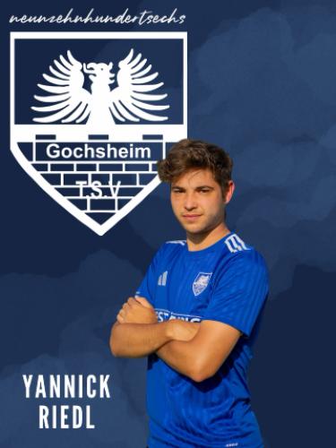Yannic Riedl