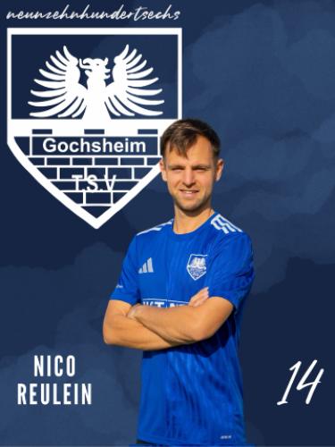 Nico Reulein