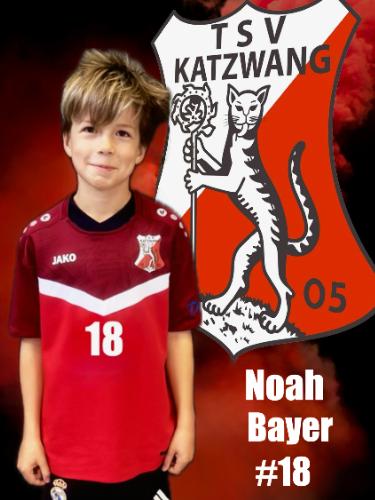 Noah Bayer