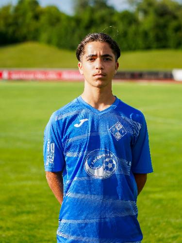 Diego Goncalves-Alihi