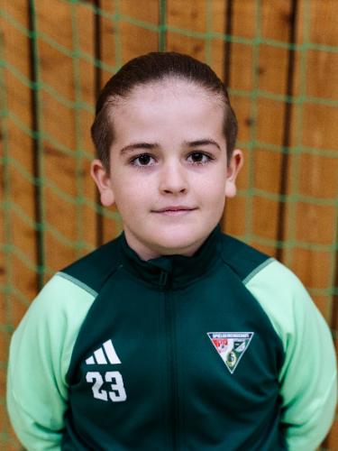 Alexander Rotheneigner