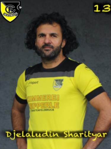 Djelaludin Sharityar