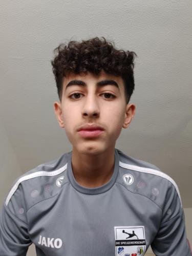 Mohamad Taher Alzein