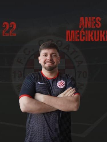 Anes Mecikukic