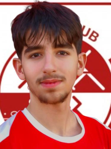 Amir Rahmani