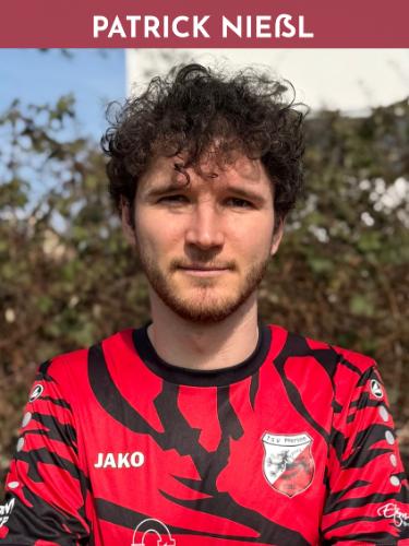 Patrick Nießl
