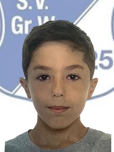 Marlon Scheidel